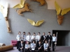 img523932f5d9744